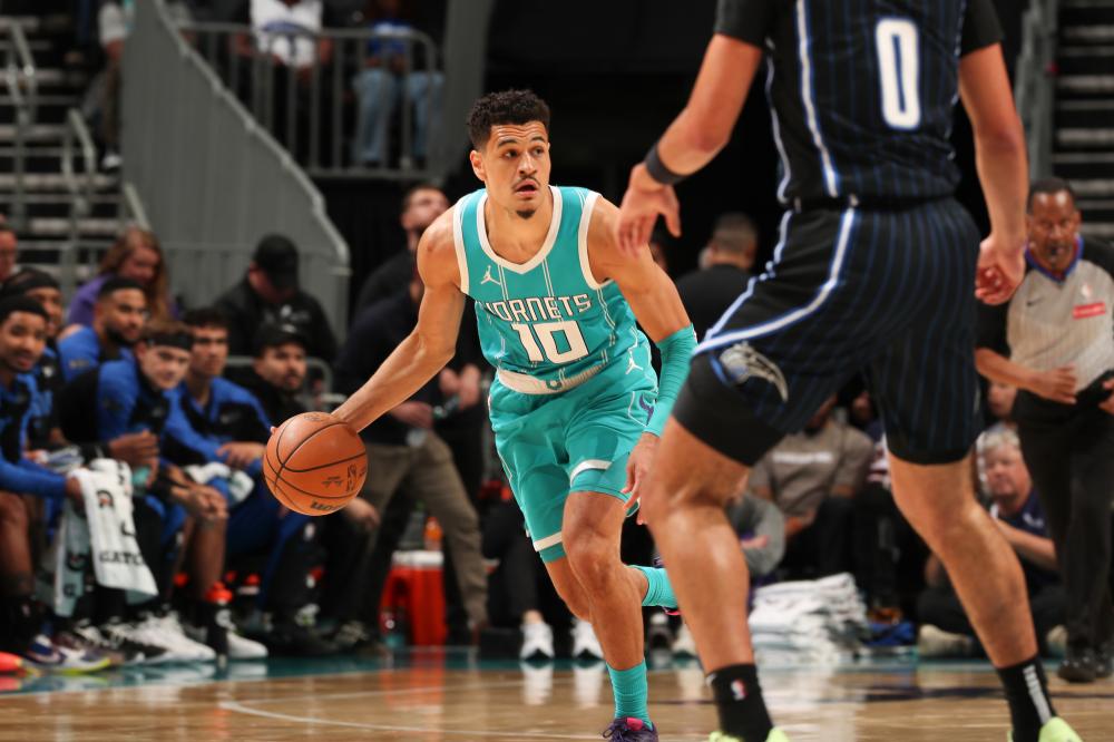 是一枝独秀 是一枝独秀