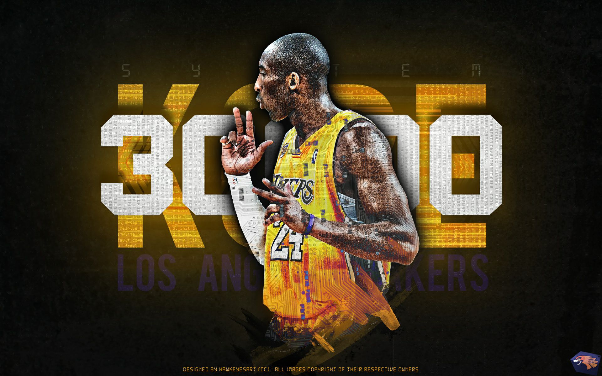 鹈鹕在休赛 鹈鹕在休赛